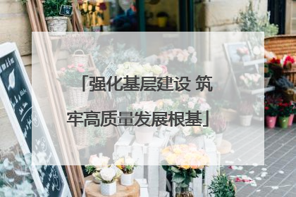 强化基层建设 筑牢高质量发展根基