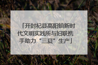 开封杞县高阳镇新时代文明实践所与妇联携手助力“三夏”生产