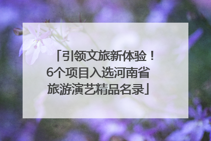 引领文旅新体验！6个项目入选河南省旅游演艺精品名录