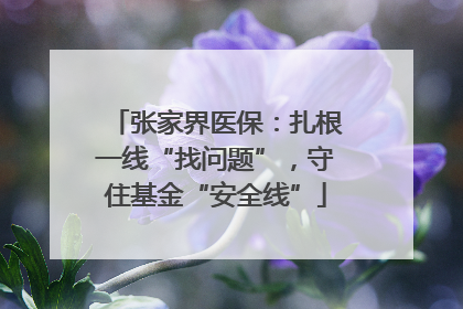 张家界医保：扎根一线“找问题”，守住基金“安全线”