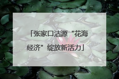张家口沽源“花海经济”绽放新活力