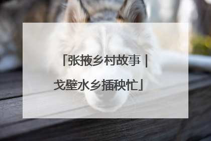 张掖乡村故事｜戈壁水乡插秧忙