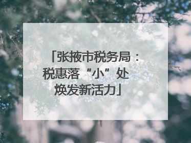 张掖市税务局：税惠落“小”处 焕发新活力