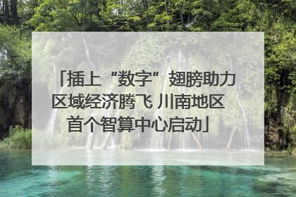 插上“数字”翅膀助力区域经济腾飞 川南地区首个智算中心启动