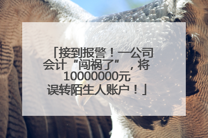 接到报警！一公司会计“闯祸了”，将10000000元误转陌生人账户！