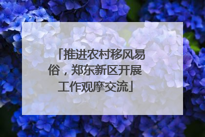 推进农村移风易俗，郑东新区开展工作观摩交流