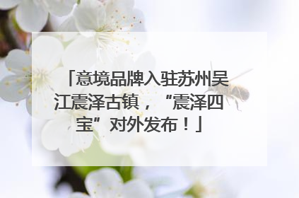 意境品牌入驻苏州吴江震泽古镇，“震泽四宝”对外发布！