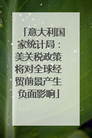 意大利国家统计局：美关税政策将对全球经贸前景产生负面影响