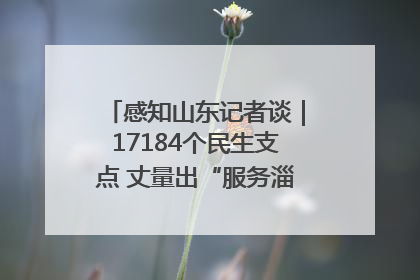 感知山东记者谈｜17184个民生支点 丈量出“服务淄博”的文明温度