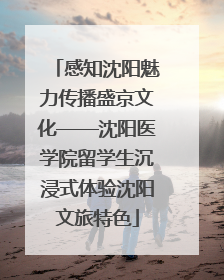 感知沈阳魅力传播盛京文化——沈阳医学院留学生沉浸式体验沈阳文旅特色