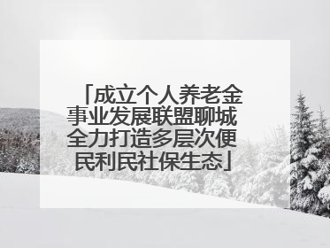 成立个人养老金事业发展联盟聊城全力打造多层次便民利民社保生态