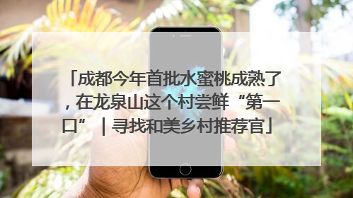 成都今年首批水蜜桃成熟了，在龙泉山这个村尝鲜“第一口”｜寻找和美乡村推荐官