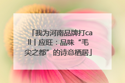 我为河南品牌打call丨应旺：品味“毛尖之都”的诗意栖居