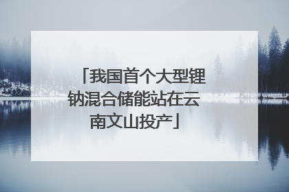 我国首个大型锂钠混合储能站在云南文山投产