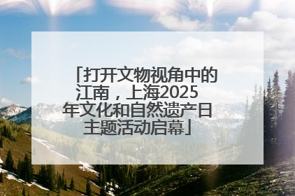 打开文物视角中的江南,上海2025年文化和自然遗产日主题活动启幕