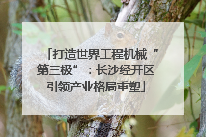 打造世界工程机械“第三极”：长沙经开区引领产业格局重塑