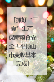 抓好“三夏”生产 保障粮食安全！平顶山市麦收基本完成