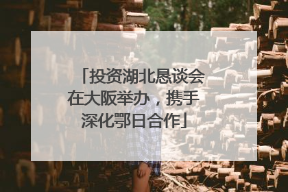 投资湖北恳谈会在大阪举办，携手深化鄂日合作