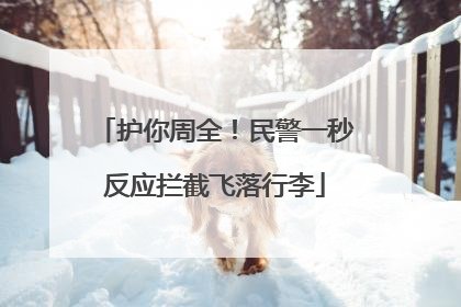 护你周全！民警一秒反应拦截飞落行李