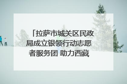 拉萨市城关区民政局成立银领行动志愿者服务团 助力西藏银发经济发展