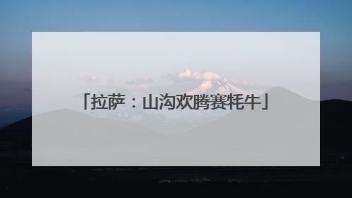 拉萨：山沟欢腾赛牦牛