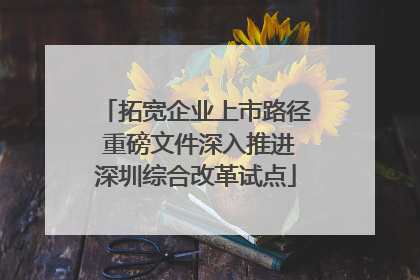 拓宽企业上市路径 重磅文件深入推进深圳综合改革试点