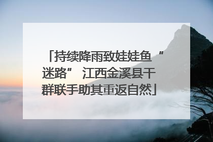 持续降雨致娃娃鱼“迷路” 江西金溪县干群联手助其重返自然