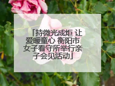 持微光成炬 让爱暖童心 衡阳市女子看守所举行亲子会见活动