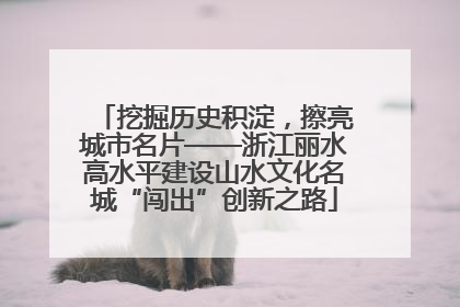 挖掘历史积淀，擦亮城市名片——浙江丽水高水平建设山水文化名城“闯出”创新之路