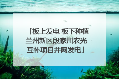 板上发电 板下种植 兰州新区段家川农光互补项目并网发电