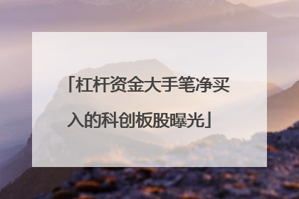 杠杆资金大手笔净买入的科创板股曝光