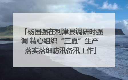 杨国强在利津县调研时强调 精心组织“三夏”生产 落实落细防汛备汛工作