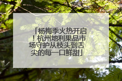 杨梅季火热开启！杭州地利果品市场守护从枝头到舌尖的每一口鲜甜