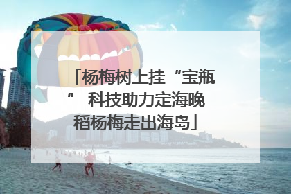 杨梅树上挂“宝瓶” 科技助力定海晚稻杨梅走出海岛