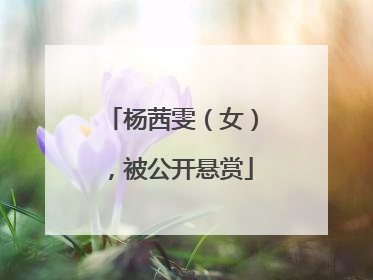 杨茜雯(女),被公开悬赏