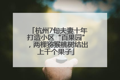 杭州7旬夫妻十年打造小区“百果园”，两棵猕猴桃树结出上千个果子