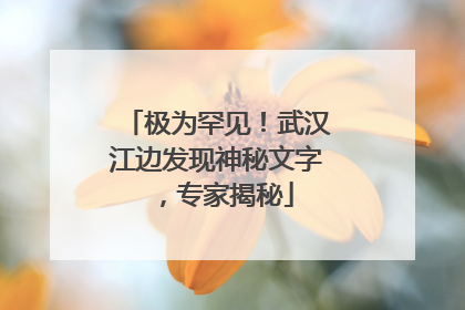 极为罕见！武汉江边发现神秘文字，专家揭秘
