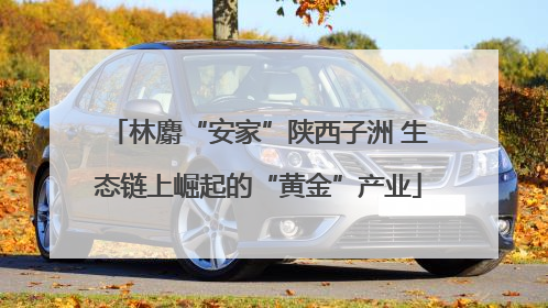 林麝“安家”陕西子洲 生态链上崛起的“黄金”产业