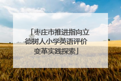 枣庄市推进指向立德树人小学英语评价变革实践探索