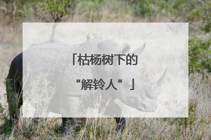 枯杨树下的“解铃人”