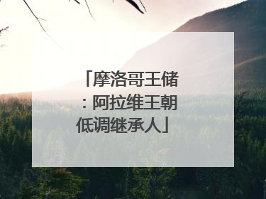摩洛哥王储：阿拉维王朝低调继承人