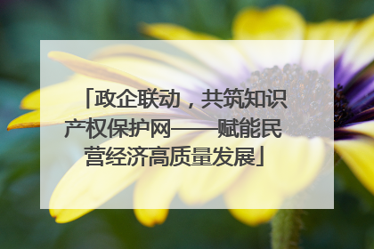 政企联动，共筑知识产权保护网——赋能民营经济高质量发展