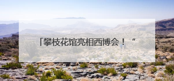 攀枝花馆亮相西博会！“豹局长”带你体验“暖暖花城”独特魅力｜西博视界