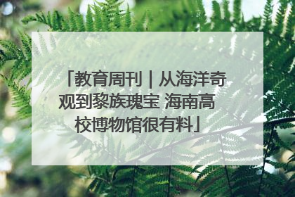 教育周刊｜从海洋奇观到黎族瑰宝 海南高校博物馆很有料