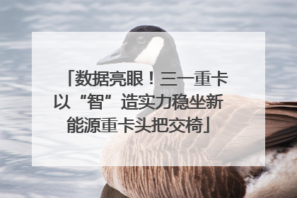 数据亮眼!三一重卡以“智”造实力稳坐新能源重卡头把交椅