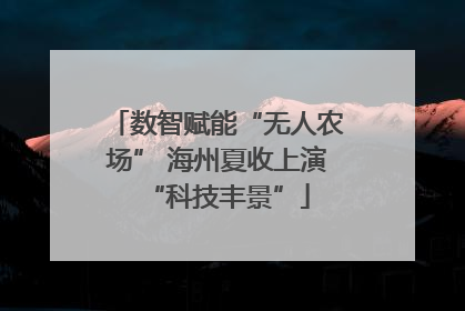 数智赋能“无人农场” 海州夏收上演“科技丰景”