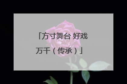 方寸舞台 好戏万千（传承）