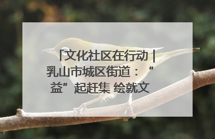 文化社区在行动｜乳山市城区街道：“益”起赶集 绘就文化社区新图景