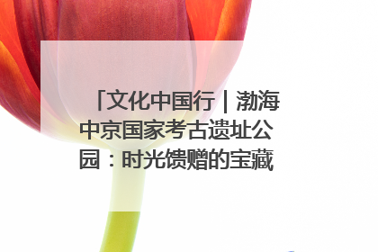 文化中国行｜渤海中京国家考古遗址公园：时光馈赠的宝藏 历史凝固的诗篇
