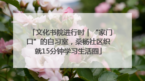 文化书院进行时｜“家门口”的自习室，桑杨社区织就15分钟学习生活圈